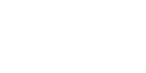 Mintsoft CRM and eCommerce